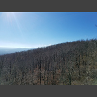 RAF114: Road Trip - Queen Wilhelmina State Park