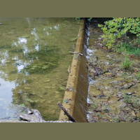 RAF096: Become an Expert in Your Own Health