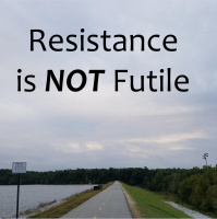 RAF257: Resistance is not Futile
