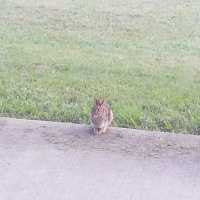 RAF192: Special Biometrics Fasting Calorie Burn Weekend