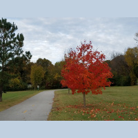 RAF107: Achieving the Goal (Part II)