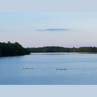 RAF091: 7 Keys to a Longer Life