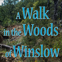 RAF246: Walk in Winslow Arkansas