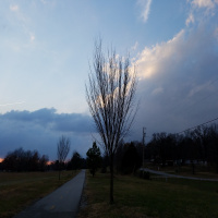 RAF017: Why Do You Run?