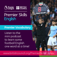 Premier Vocabulary - Easy - Substitute