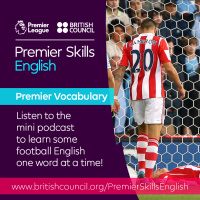 Premier Vocabulary - Medium - Knock out