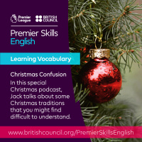 Learning Vocabulary - Christmas Confusion