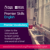 Premier Vocabulary - Hard - To throw the kitchen sink at
