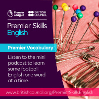 Premier Vocabulary - Hard - Pins and needles