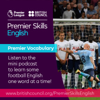 Premier Vocabulary - Easy - Wall
