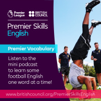 Premier Vocabulary - Easy - Exercise