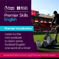 Premier Vocabulary - Hard - A level playing field
