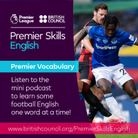Premier Vocabulary - Easy - Possession
