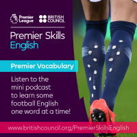 Premier Vocabulary - Hard - Work your socks off