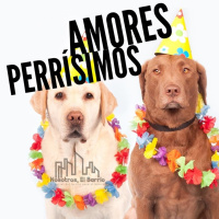 Amores Perrísimos