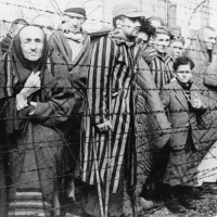 Facebook отказался удалять сообщения с отрицанием Холокоста