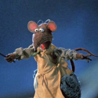 Put Out the Lantern, Not the Rat!