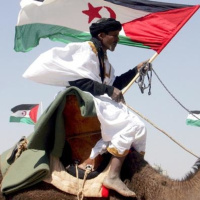 #EuroMag167 T05E09 - 22/11/2020 - La Guerra en Eurovisión (2ª Parte)