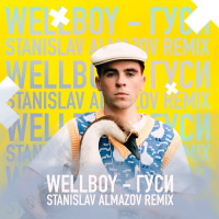 Wellboy - Гуси (Stanislav Almazov Radio Remix)