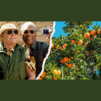 Oranges and Bucket Lists