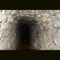 Half a million eyes are on TikToks tunnel girl