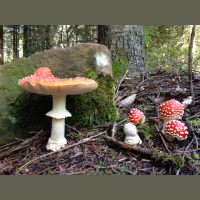 AI and Relationships, Part 1: Into the Woods