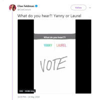 Bonus: Yanny Vs. Laurel... Vs. Yaley?