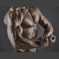 Bootcamp for Men: from betas to alphas