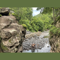 Swimming Hole: The man, the myth, the leap