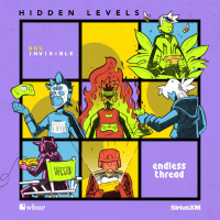 Announcing Hidden Levels: how the videogame world has changed the world beyond videogames