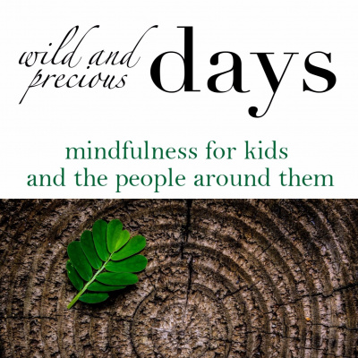 Wild And Precious Days: Mindfulness For Kids And The People Around Them