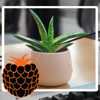 Instagram vs Todellisuus ft. Tara Tuomisilta / Geneesi :: #MitäVattua podcast #90