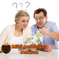 Mitä nettisivut maksaa
