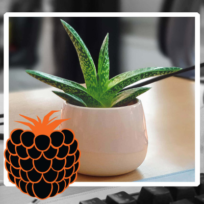 #mitävattua Podcast