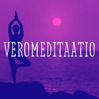 S3E10: Syventävä veromeditaatio: Tuloverolaki edistyneille