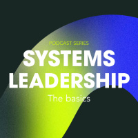 System leadership leverage points