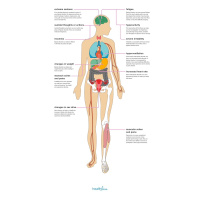 The 2024 Bipolar Report (S7E12) Season Finale
