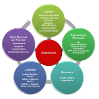 Risk Factors for Depression