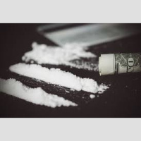 Cocaine 101