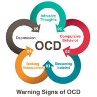 Bipolar  OCD