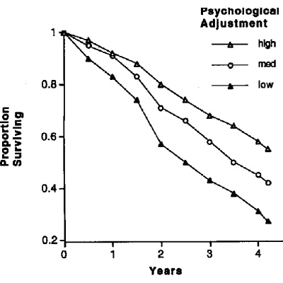Mr. Joes Bipolar Podcast