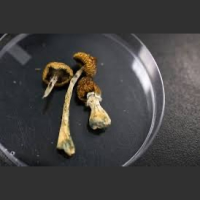 Mr. Joes Bipolar Podcast