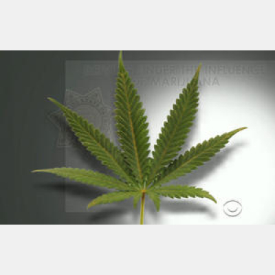 Mr. Joes Bipolar Podcast