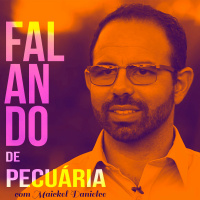 Falando de Pecuária 001: Princípio básico da rotação de piquete