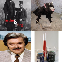 3.1 When the wrong cock was a total beast...