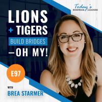 How To Build Friendly, Flexible Bridges with Brea Starmer - (Episode 97)