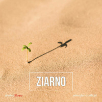#JednoSłowo 02.01.18 - Ziarno