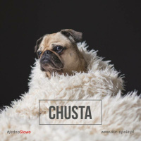 #JednoSłowo 22.11.2017 - Chustka