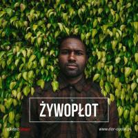 #JednoSłowo 05.03.18 - Żywopłot