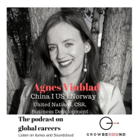 #4 Working in the US, China and Sweden - Opportunities and Obstacles! Lets grow with Agnes!